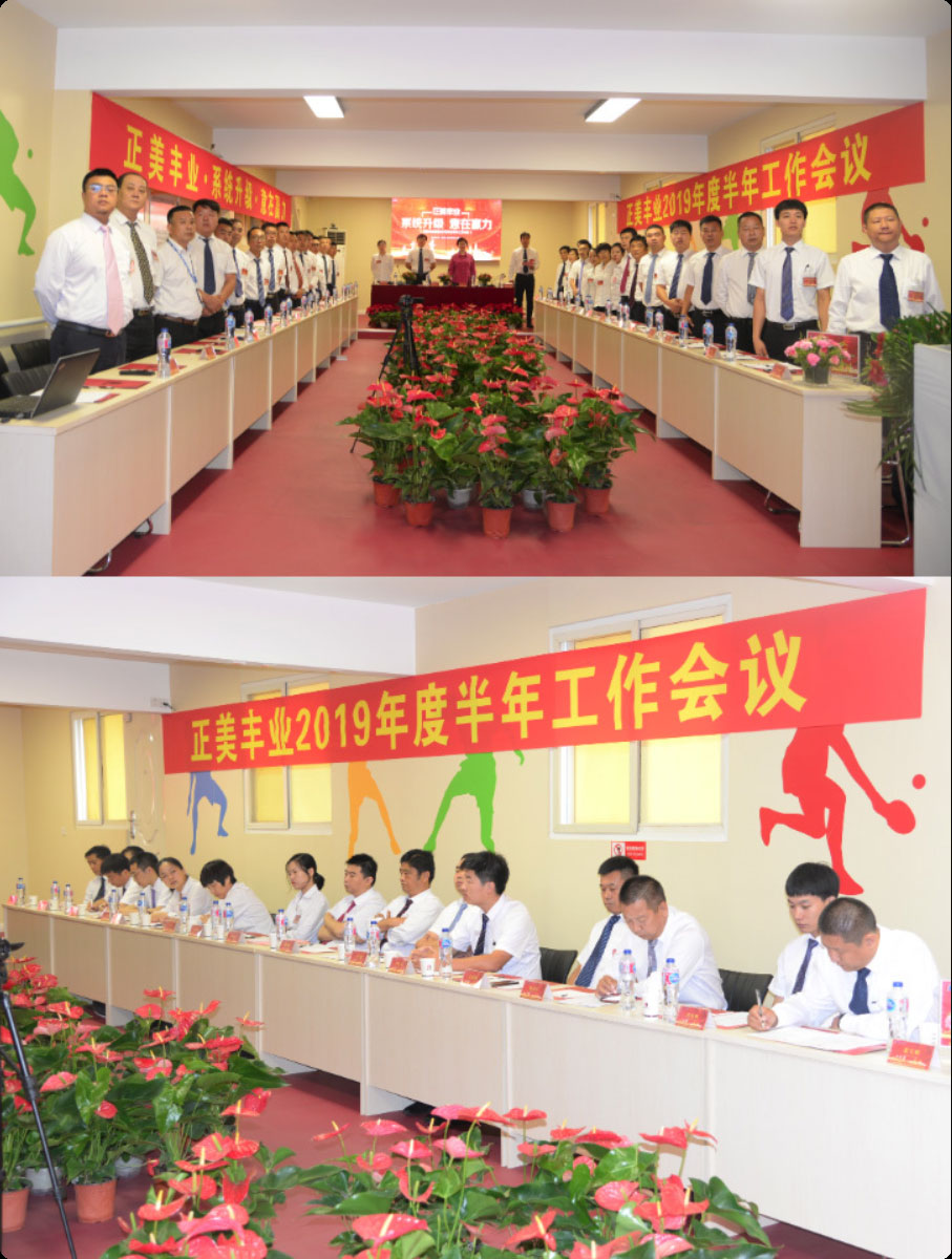 正美丰业集团2019年上半年工作会议隆重召开